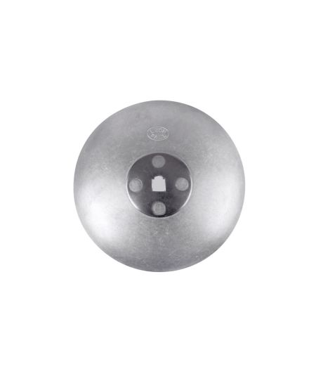 Coccia Fioretto standard LP